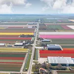 Vredehof * Sint Maartensbrug