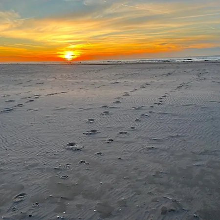 Vredehof Apartment *