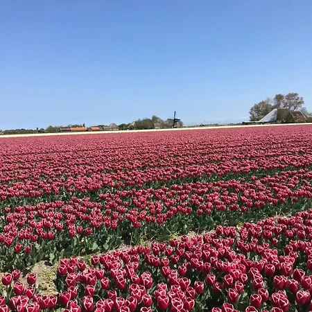 Vredehof Sint Maartensbrug