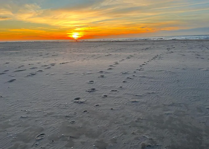 Vredehof Apartment *